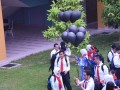 Tn 289 DSC 0365